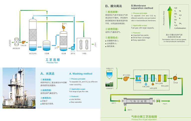 蘑菇视频在线观看提纯